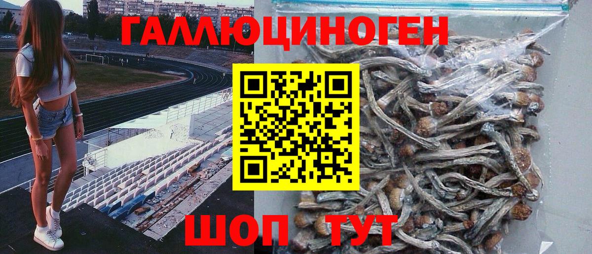 Псилоцибиновые грибы GOLDEN TEACHER Тавда