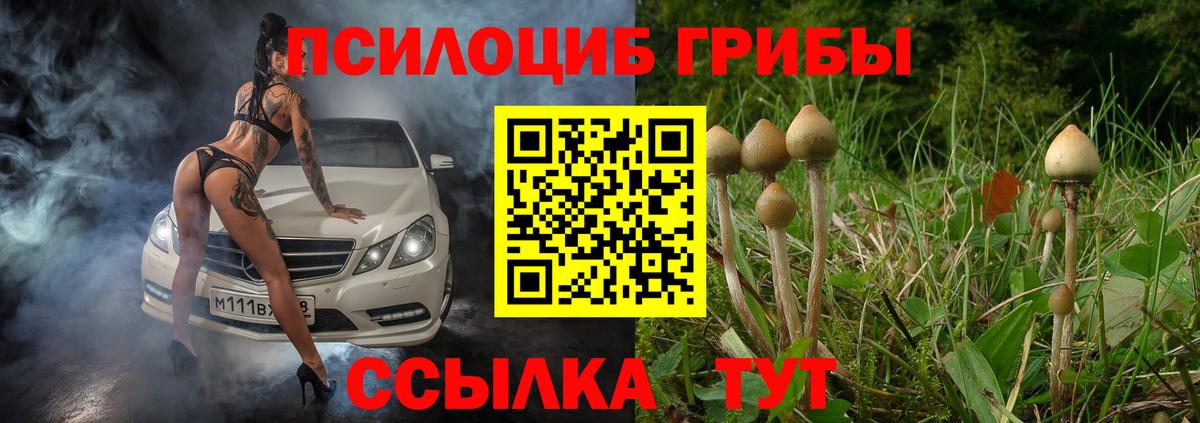 Галлюциногенные грибы Psilocybe  Галлюциногенные грибы Psilocybine cubensis  Вход с VPN  Тавда 